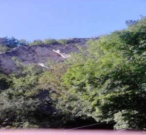 fecó3